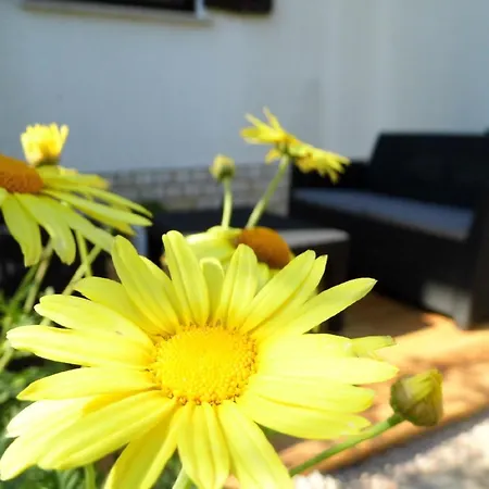 Schoene Gemuetliche Mit Meerblick, Wi-fi, Klimaanlage, Geeignet Auf Sehr Gute Lage, Sveti Vid-Miholjice